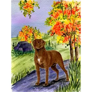 212 MAIN Chesapeake Bay Retriever Flag, 28x40in House Size Weatherproof Fade Resistant Heavyweight Polyester Backdrop Banner for Home Decor, Room Decor