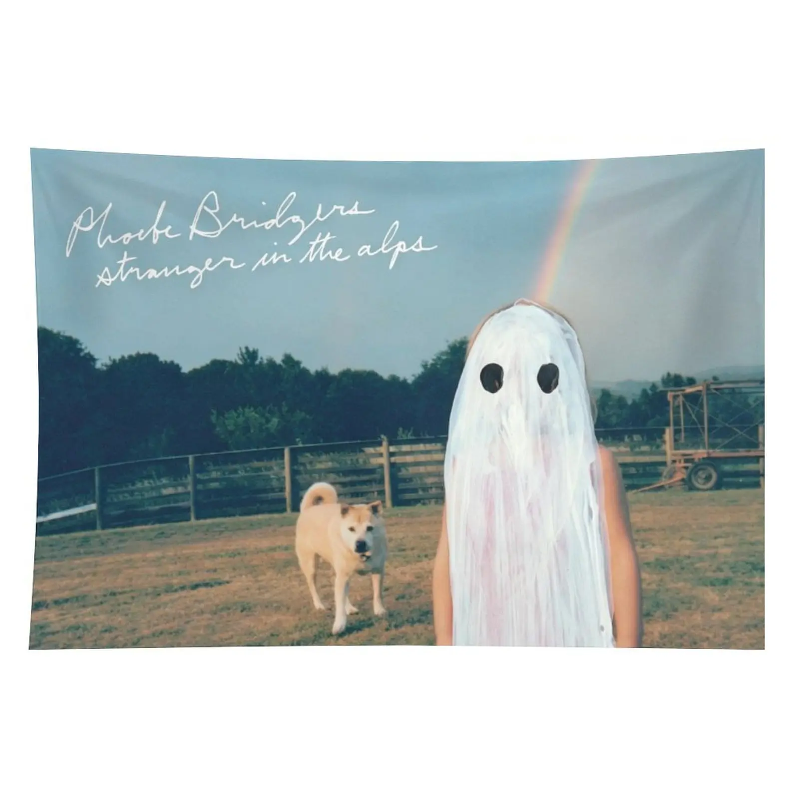 1PC 60x40in Phoebe Bridgers Album Cover Synthetic Tapestry - Lightweight Polyester, Easy Hanging Hanging Wall Art, College Dorm Decor, Room Accessories, Aesthetic Collectible Beach Towel Alternative, TikTok Shop Back to School, Strong