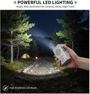 High Power Hand Crank Generator 1000Mah, Mini Portable Emergency Power Supply Safe and Practical Suitable for Leisure Decompression, Sudden Power Outage