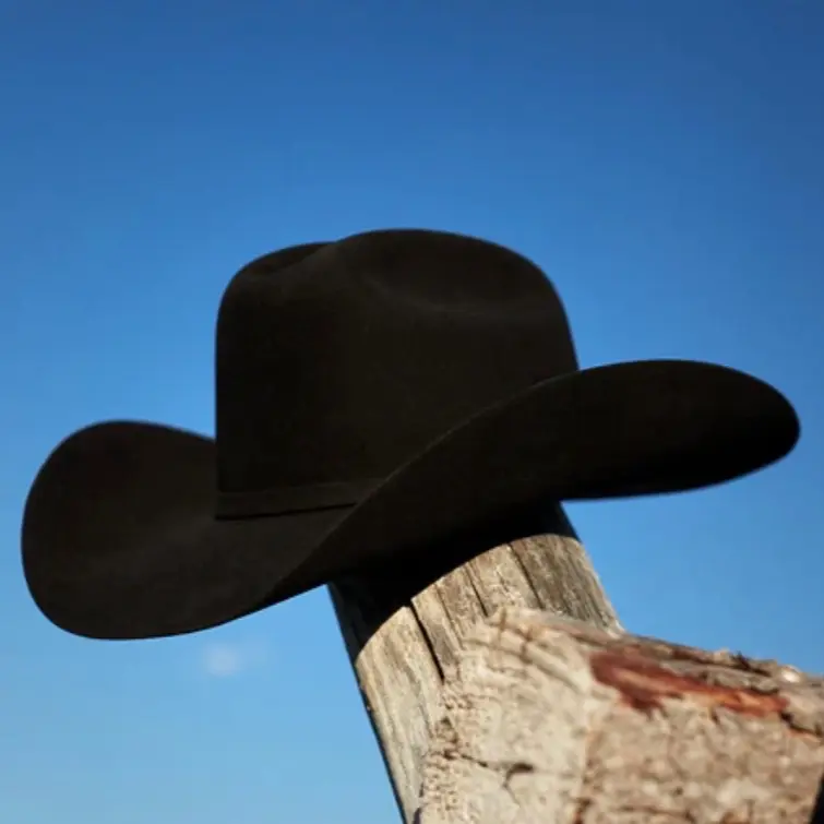 Stetson 4x Felt Hat Stetson 4x Felt Hat