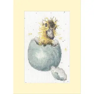 Peek-a-boo XGC48 Counted Cross Stitch Kit