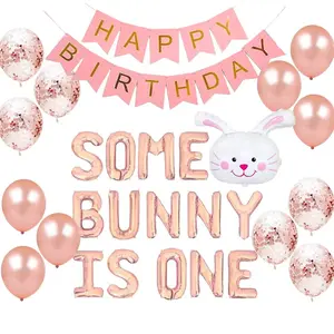 Some Bunny Is OneFirst Birthday Party Set with Bunny Balloons & Spring Themed Baby Shower