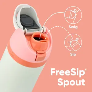 Freesip Insulated Stainless Steel Water Bottle with Straw for Sports