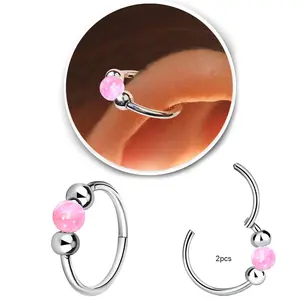 2 Pcs Small Hoop Earrings for Women Men, Silver Earrings Hypoallergenic Hinge Huggie Hoop Earrings for Helix,Tragus,Piercing Jewelry Nose Ring