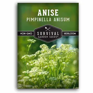 Anise Seed - Grow a Medicinal & Culinary Herb