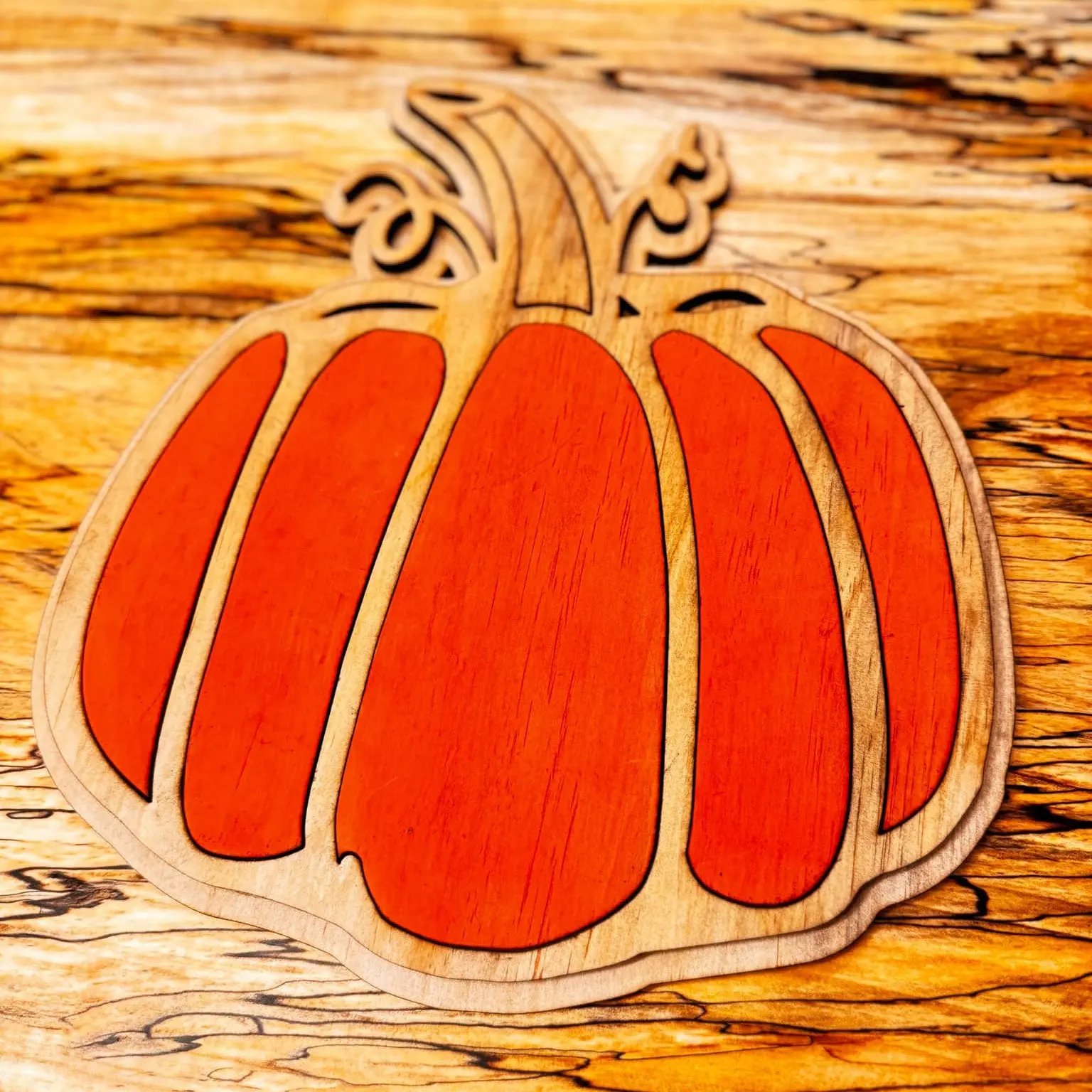 Montessori Pumpkin Sensory Tray and Puzzle Combo