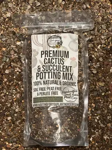 CACTUS & SUCCULENT Premium Potting Mix