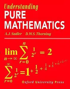 USED-Understanding Pure Mathematics by A. J. (Alan J) Sadler (Paperback)