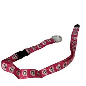 Pink skull lanyard | 2000s accessories | school supplies | y2k | Mcbling Trashy Y2K | Emo