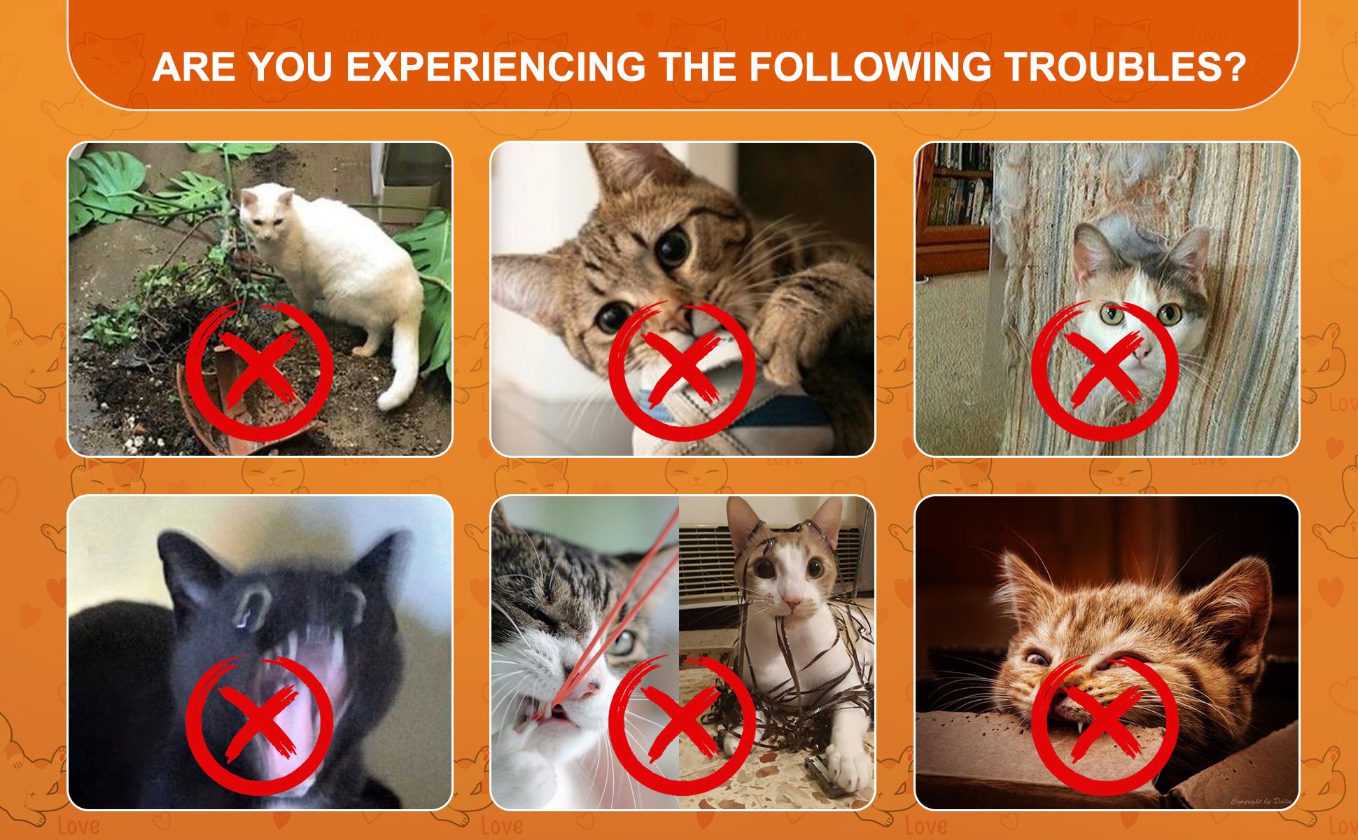 Cat Deterrent Spray for Indoor and Outdoor, Cat Scratch Deterrent for Furniture Protection, Anti Marking Deterrent for Sofas and Carpet, Natural Ingredients (100 ml*2) Cat Deterrent Spray for Indoor and Outdoor, Cat Scratch Deterrent for Furniture Protection, Anti Marking Deterrent for Sofas and Carpet, Natural Ingredients (100 ml*2)