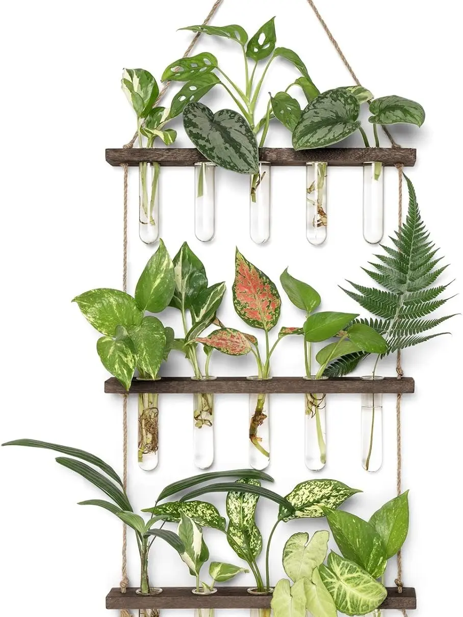 Mkono Plant Propagation Tubes, 3 Tiered Wall Hanging Terrarium with Wooden Stand Mini Test Tube Flower Vase Glass Planter Stations for Hydroponic Cutting Home Garden Office Decor Plant Lover Gift