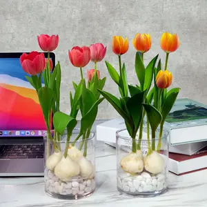 Tulip bulbs are easy to live in all seasons, cold-resistant hydroponics, soil culture, potted plants, double-petaled bulbs