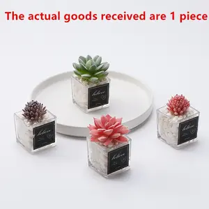 Mini Transparent Square Pot Fake Succulent Plant, Lazy Desk Office Decor, Easy Care Student Dorm Room Decoration, Versatile Small Ornament, Artificial Plants