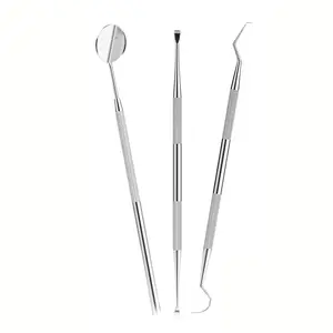 3pcs Reusable Toothpick Set, Portable Toothpicks, Durable Toothpick Tools Kit, Home Use, Convenient and Easy-To-Use, Model Xinghao