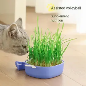 Small Whale Cat Grass Box Wheatgrass Seeds Soilless Hydroponic Plant Pot Lazy Cat Snack Growing Tray, Perfect for Indoor Cats