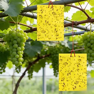 100-Pack Yellow Insect Sticky Traps - Fruit Fly Gnat Catcher for Flower Bed/Potted Plants/Terrace Pest Control