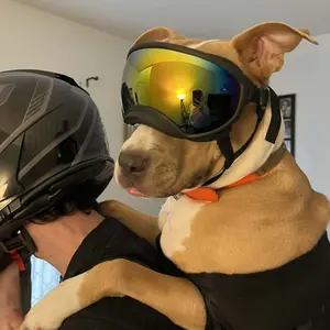 Dog Goggles Sunglasses Anti-UV Sun Glasses Eyewear Protection Adjustable Windproof Sunglasses Pet Dog Supplies For Travel