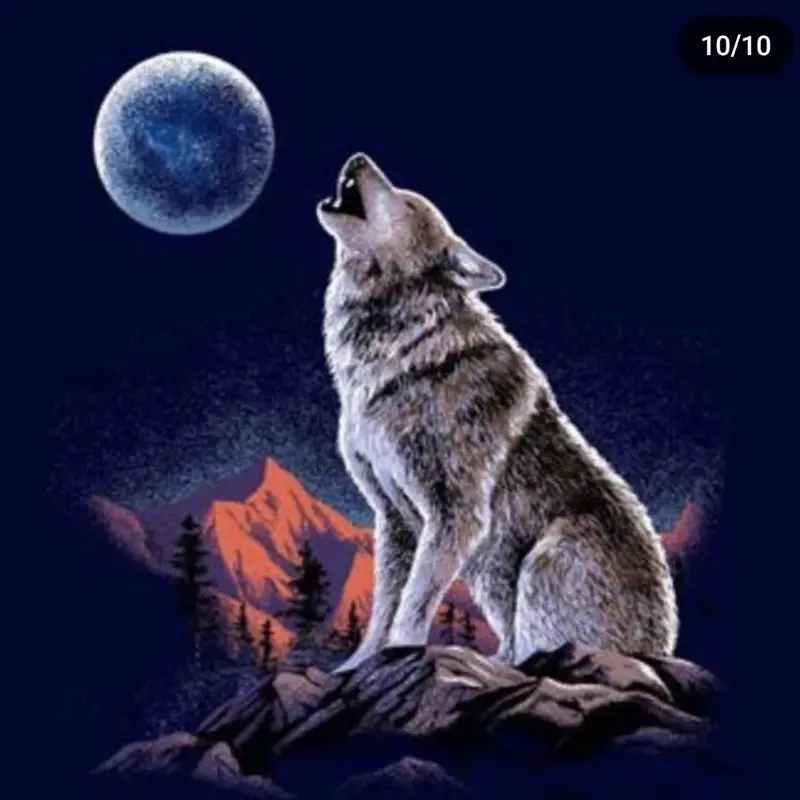 Queen Size Navy Luxury Animal Face Pattern Blanket - 1-Ply Weave, Super Soft Wolf Motif Unisex Bedding Throw, Machine Washable for Bedroom Decor & Cozy Setup, Snug as a Bug in a Rug