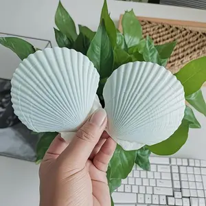 Natural White Scallop Shells 16PCS for DIY Crafts Beach Wedding Decor 2.7"~3.5" Baking Shells Painting Decoration Reusable Eco-Friendly Seashells