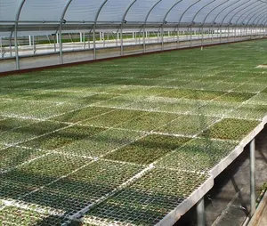 Riverstone Industries RSI RSI-ST2PK Hydroponic Seed Tray - 128 & 242 Plugs