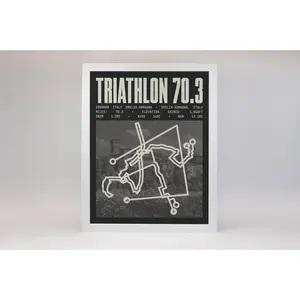 Ironman 70.3 Italy Emilia-Romagna Poster