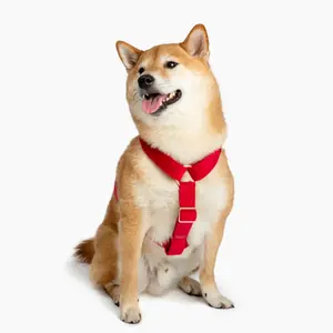B&C Velvet Strap Harness - Cranberry
