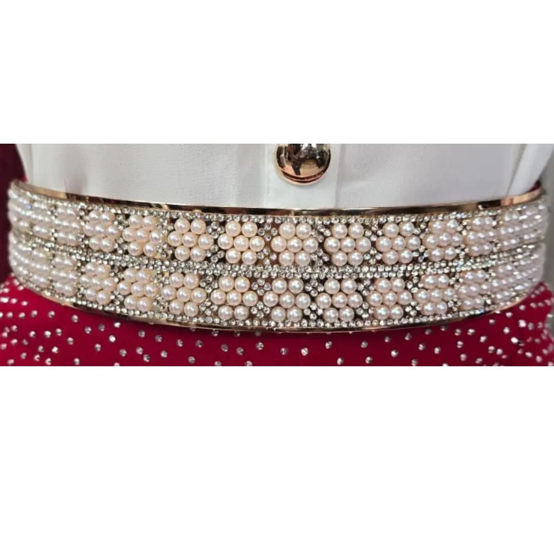 ICONIC METAL PLAQUE ICONIC ELASTIC BELT - TikTok Shop