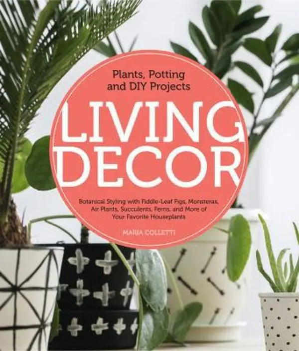 Used Good Book - Living Decor: Plants, Potting and DIY Projects - Botanical Styling with Fiddle-Leaf Figs, Monsteras, Air Plants, Succulents, Ferns - Hard Cover by Maria Colletti - English for Greener Lifestyle & Modern Trends in Houseplant Display, Natur