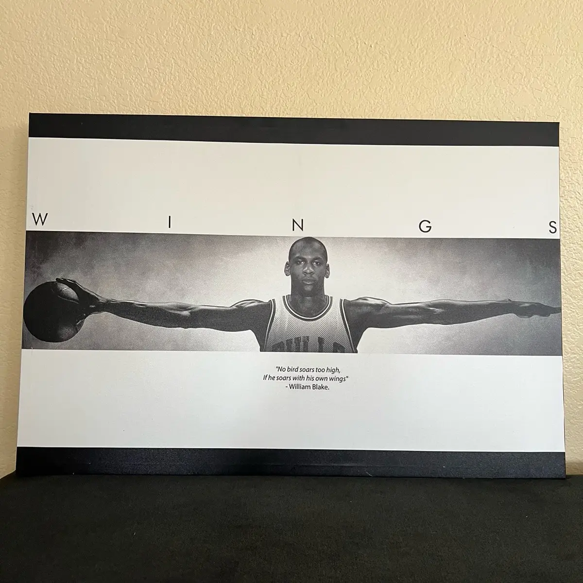 Michael Jordan Wings