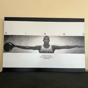 Michael Jordan Wings