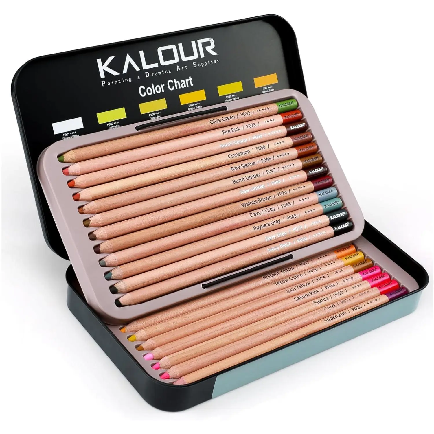 Professional Colored Pencil Set, 1 Box Portable Colorful Charcoal Pencil for Drawing Sketching Coloring Shading, Art Supplies for Adults Artists