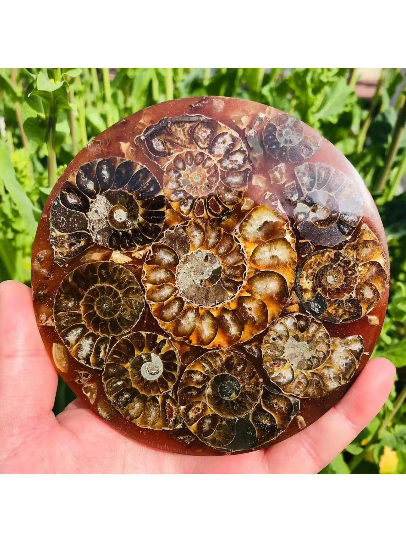 Natural chrysanthemum stone disc ornament, suitable for daily home, office, and study display, and also a thoughtful gift for family and friends on Valentine's Day, Thanksgiving, and Halloween