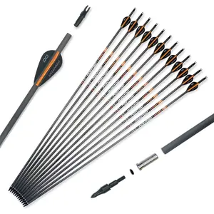 100% Carbon Practice Hunting Arrows with Removable Tips for Compound & Recurve Bow Pack of 12