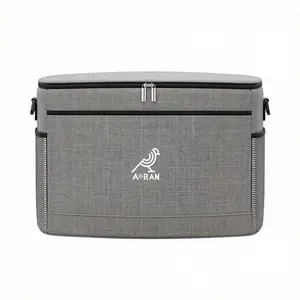 AORAN Gray 30L Large Capacity Foldable Insulated Cooler Bag, Leak-Proof Lunch Insulated Bag with Multi-Layer Pockets, Designed for Adults. Ideal for beach trips, picnics, and office use. Set includes a water reservoir and five ice packs.