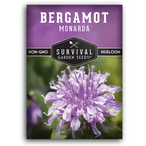 Bergamot (Bee Balm) Seeds - Monarda fistulosa