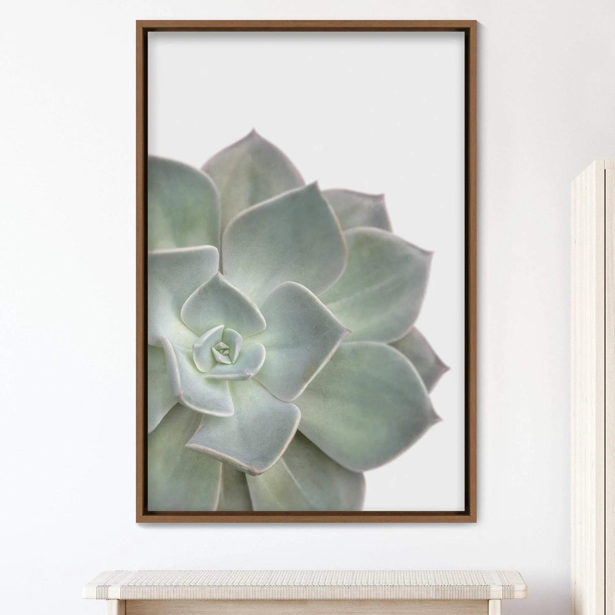 Blooming Green Desert Succulent Nature Plants Canvas Art Print, Frame Large Wall Art, Gift, Wall Decor