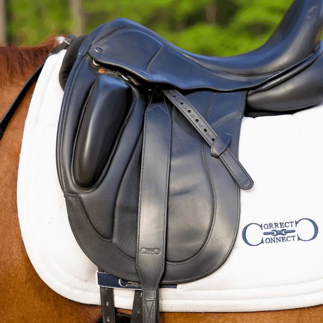 Stable Ride Stirrup Leathers w/removable keeper