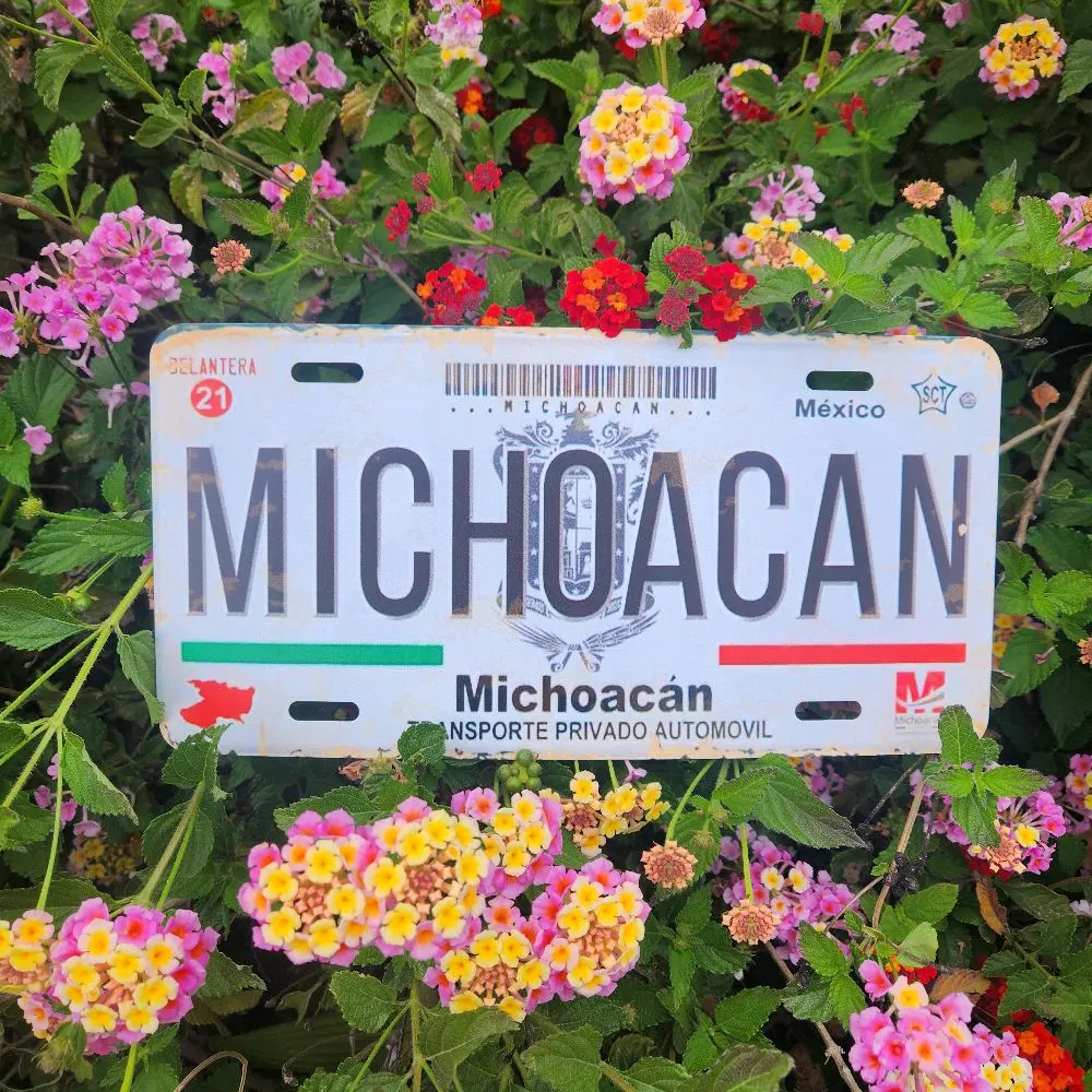 Michoacan Plate Michoacan Plate