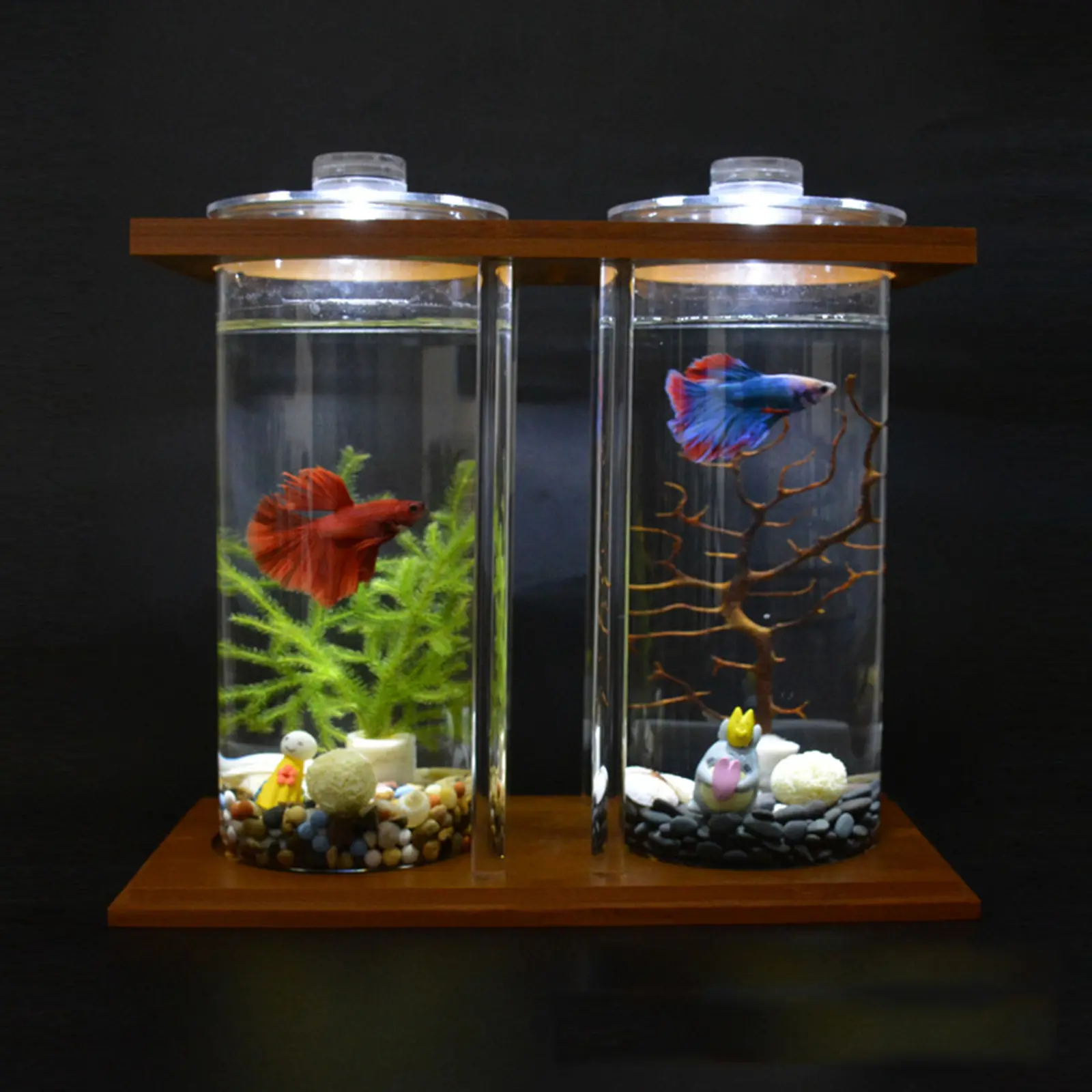 CNCEST Small Dual Glass Water Tanks Aquarium Set - 3.5" Square & Cylinder Nano Fish Tank, LED Lights, Bamboo Wood Decor, Beginner-Friendly Tiny Habitat for Bettas