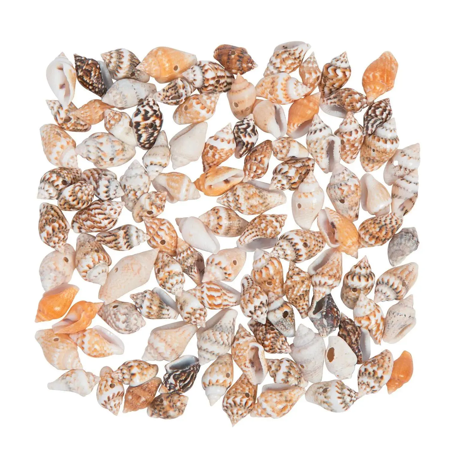 Fun Express 1 oz. Mini Shell Beads - 114 Pc.