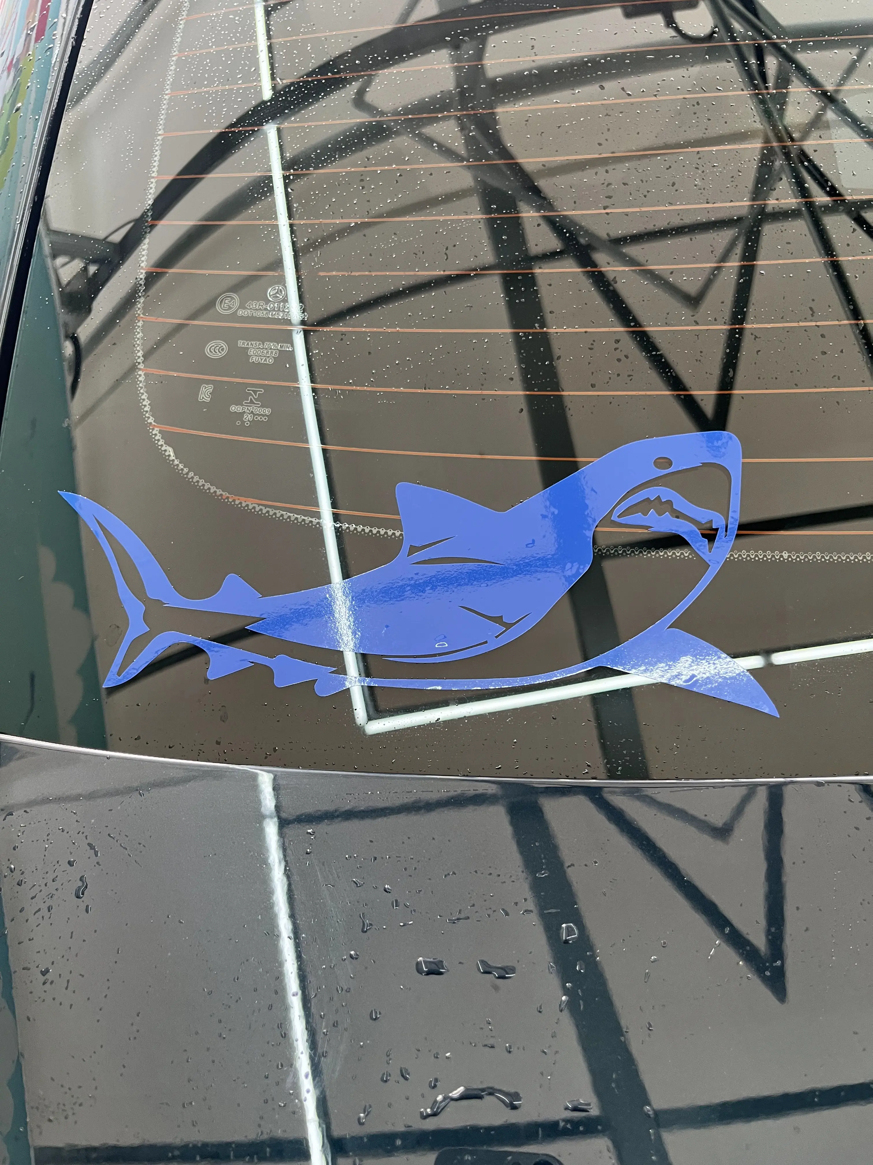 Shark Sticker Vinyl Decal
