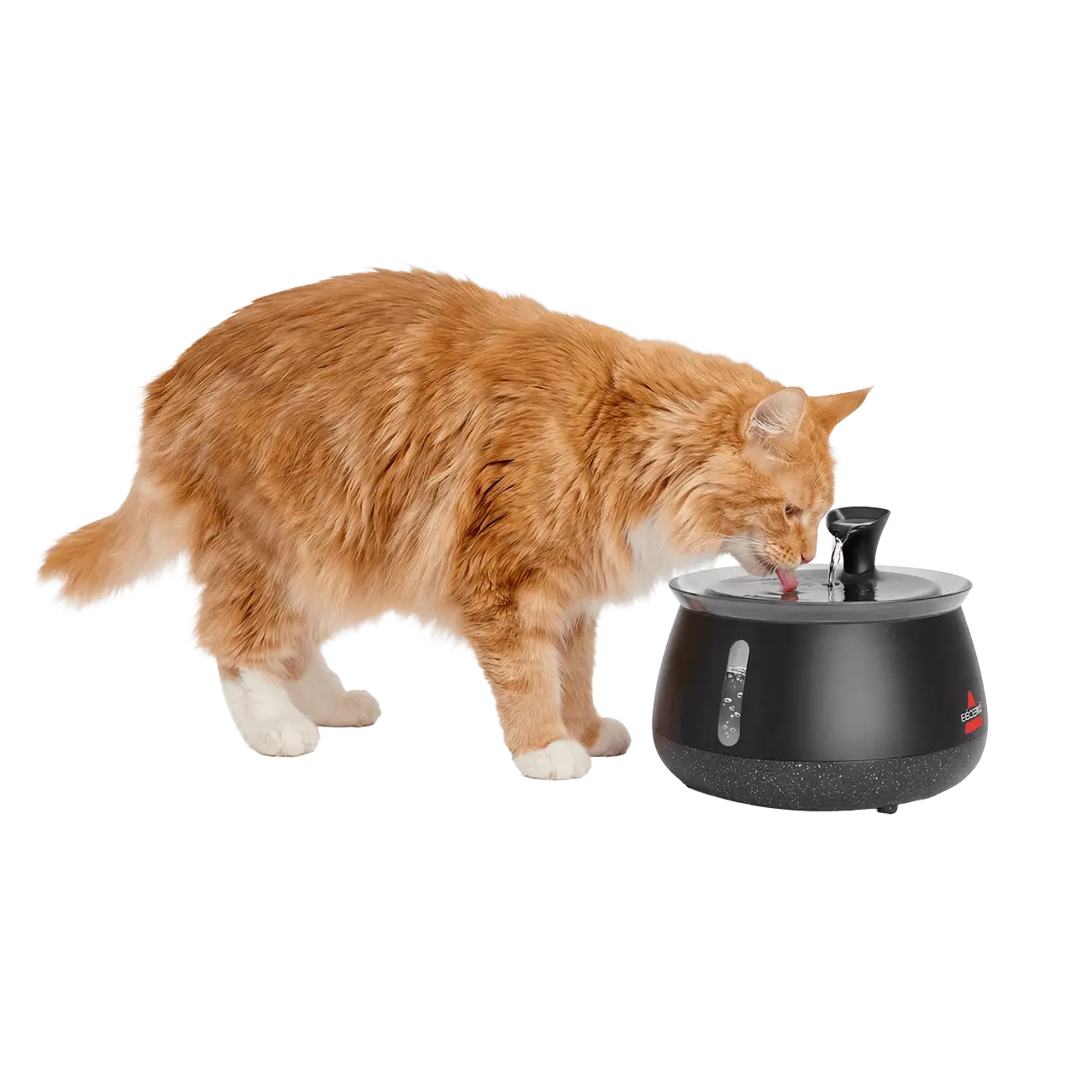 BISSELL HydrateWell™ Cat Water Fountain – Fresh, Filtered Water with Ultra-Quiet Wireless Pump BISSELL HydrateWell™ Cat Water Fountain – Fresh, Filtered Water with Ultra-Quiet Wireless Pump