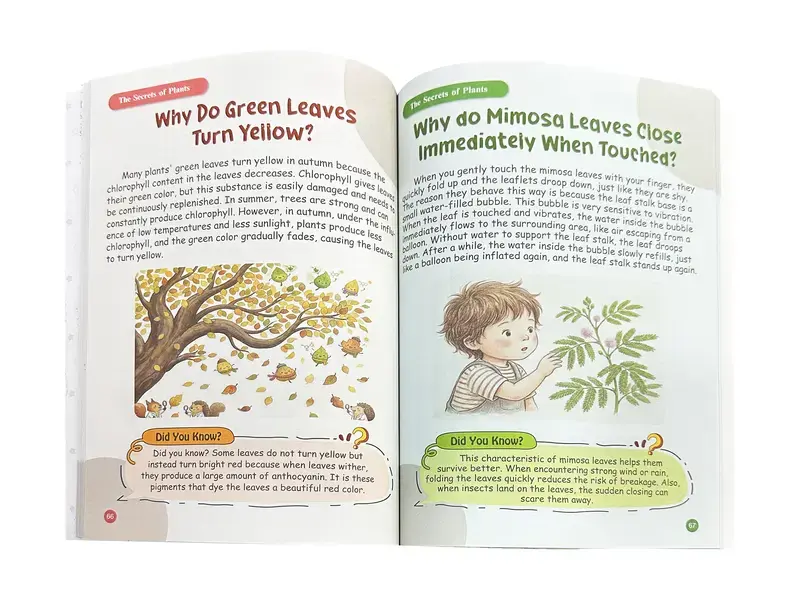 Children's encyclopedia, children's reading books, extracurricular reading gifts