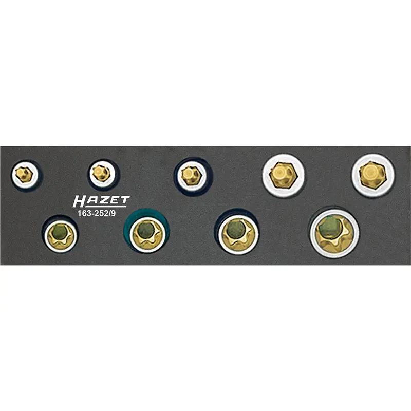 Hazet 163-252/9 TORX® Tool Set, 3/8" Drive, 9 Pieces