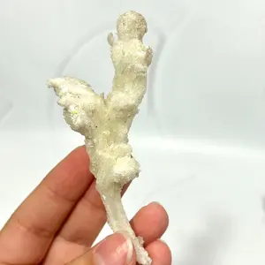 Rams Horn Selenite Mineral Crystal Cluster
