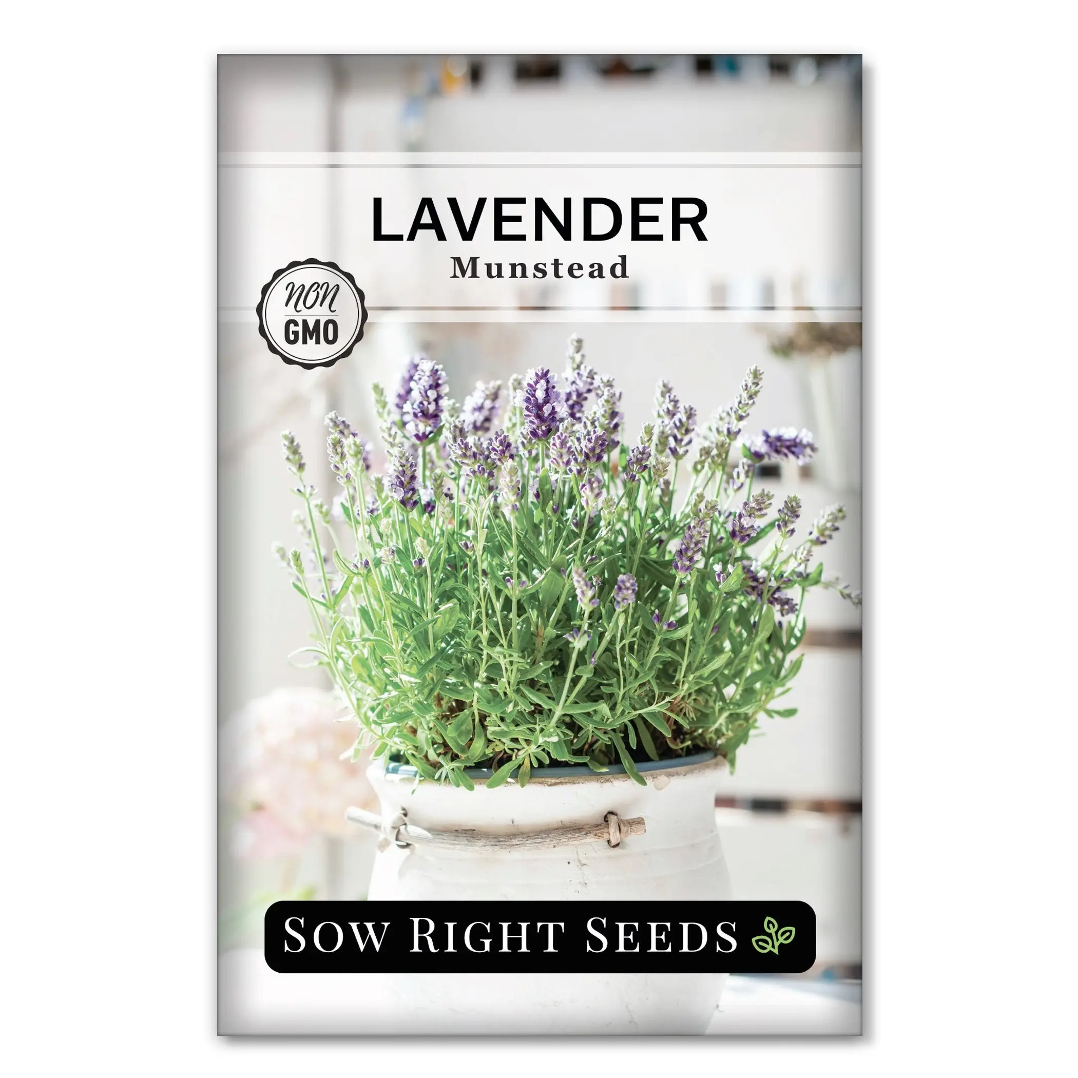 Munstead Strain Lavender Seeds