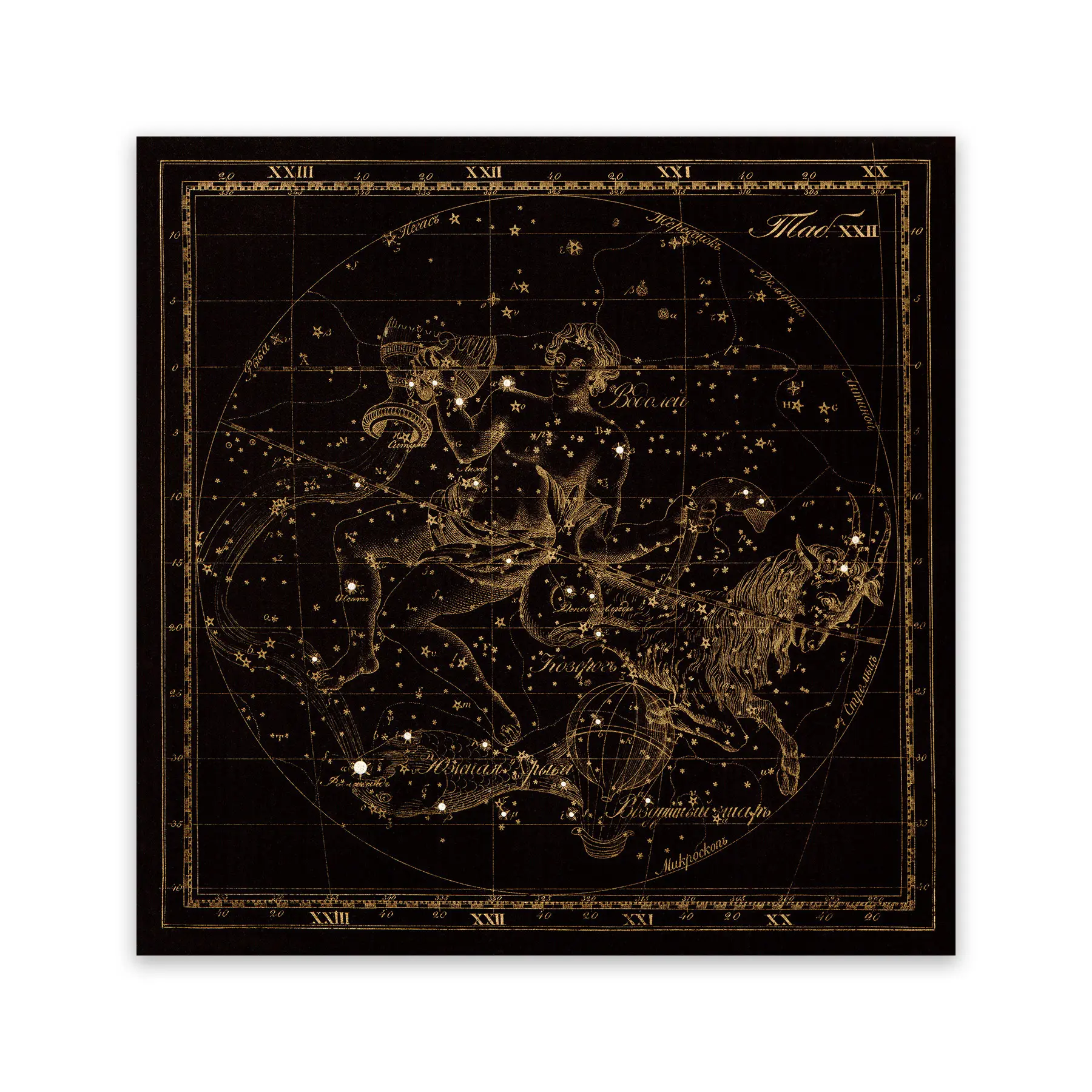 Capricorn & Aquarius Zodiac Sign Art, Old Russian Astronomy Chart, Constellation Illustration, Vintage Style Print