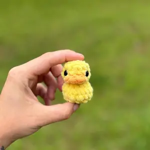No-Sew Crochet Baby Bird Craft Kit - Includes Duck, Crow, Chicken, Flamingo Designs for DIY Yarn Projects (Toys & Hobbies)