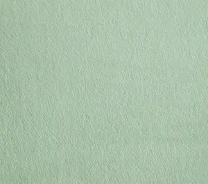 Martha Stewart Bedford Green Plush Queen Blanket