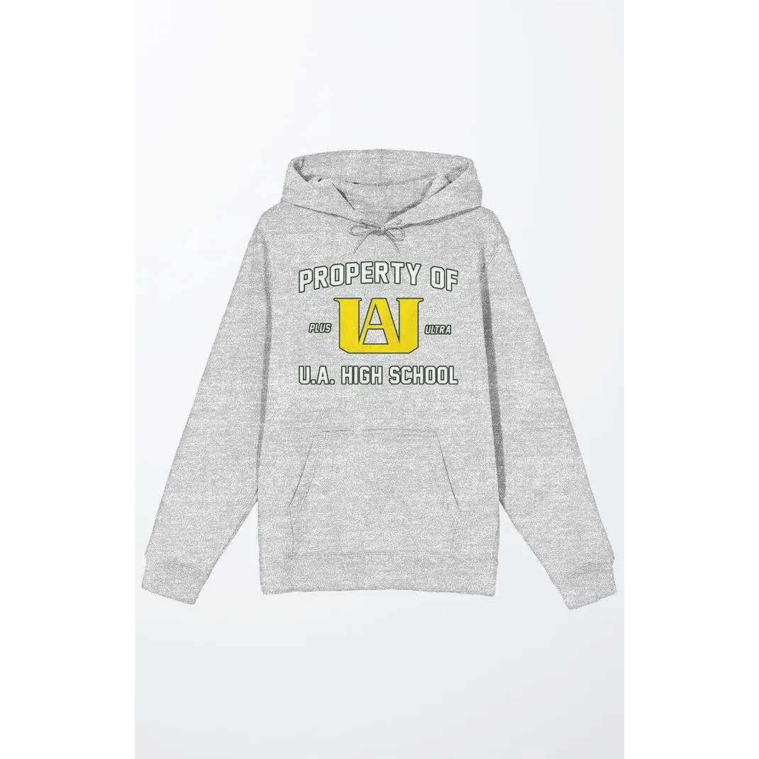 PacSun Men's My Hero Academia Property Hoodie PacSun Men's My Hero Academia Property Hoodie